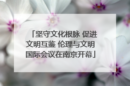坚守文化根脉 促进文明互鉴 伦理与文明国际会议在南京开幕